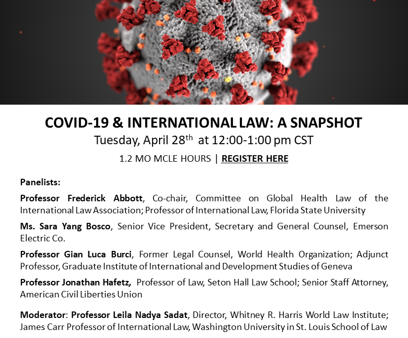 COVID-19 and International Law: A Snapshot Webinar